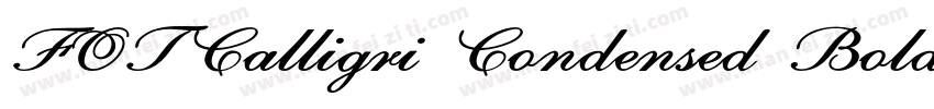 FOTCalligri Condensed Bold ItalicVe字体转换